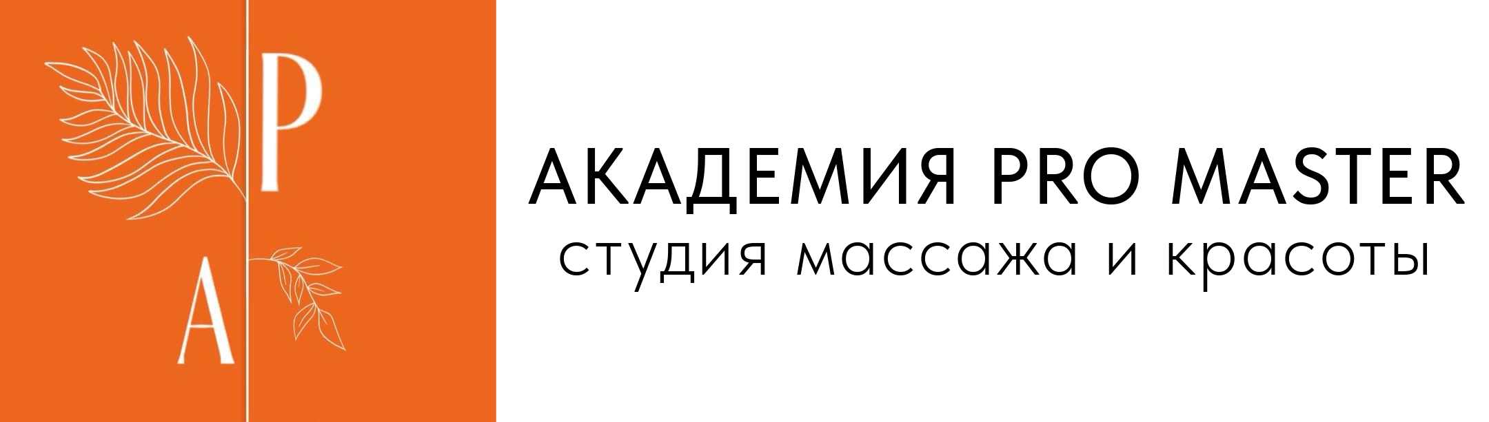 AcademyProMaster
